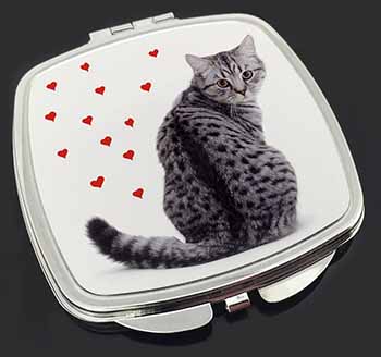 Silver Tabby Cat with Red Hearts Make-Up Compact Mirror