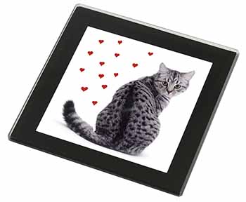 Silver Tabby Cat with Red Hearts Black Rim High Quality Glass Coaster