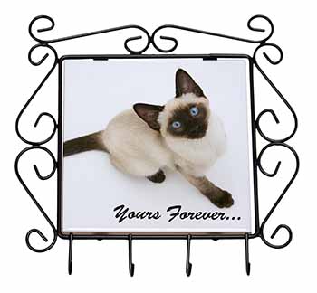 Siamese Cat 