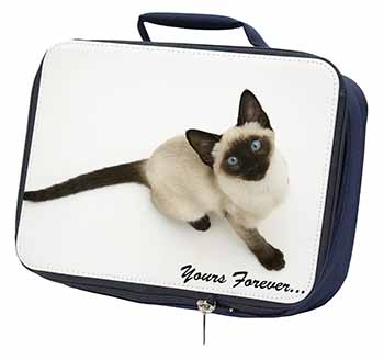 Siamese Cat 