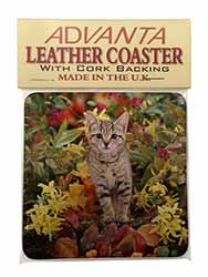 Tabby Kitten in Foilage Single Leather Photo Coaster