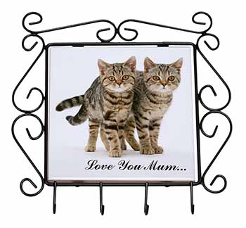 Brown Tabby Cats 