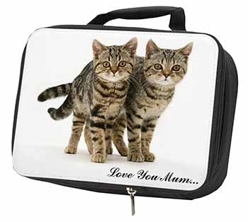 Brown Tabby Cats 