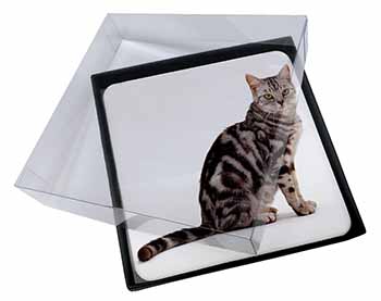 4x Pretty Tabby Cat Picture Table Coasters Set in Gift Box