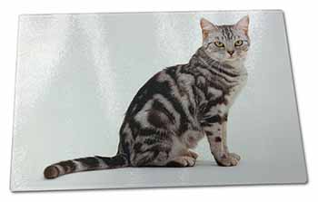 Large Glass Cutting Chopping Board Pretty Tabby Cat