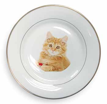 Fluffy Ginger Kitten Gold Rim Plate Printed Full Colour in Gift Box