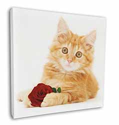 Ginger Kitten with Red Rose Square Canvas 12"x12" Wall Art Picture Print