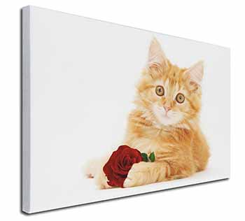 Ginger Kitten with Red Rose Canvas X-Large 30"x20" Wall Art Print