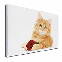 Ginger Kitten with Red Rose Canvas X-Large 30"x20" Wall Art Print