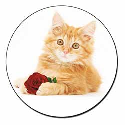 Ginger Kitten with Red Rose Fridge Magnet Printed Full Colour