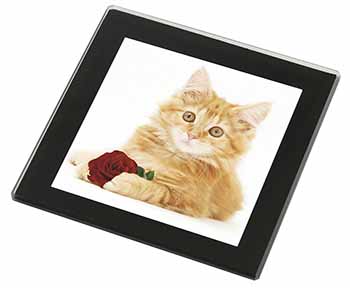 Ginger Kitten with Red Rose Black Rim High Quality Glass Coaster