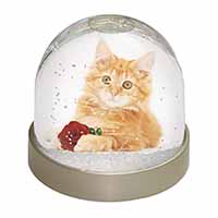 Ginger Kitten with Red Rose Snow Globe Photo Waterball