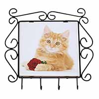 Ginger Kitten with Red Rose Wrought Iron Key Holder Hooks