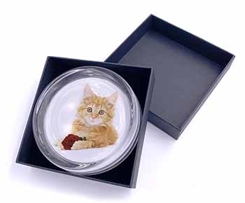 Ginger Kitten with Red Rose Glass Paperweight in Gift Box