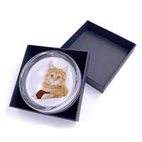 Ginger Kitten with Red Rose Glass Paperweight in Gift Box