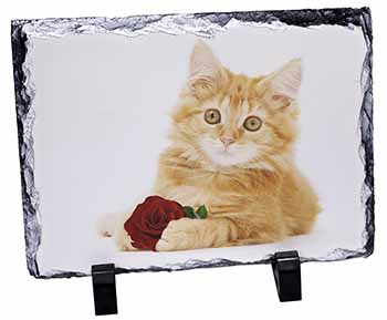 Ginger Kitten with Red Rose, Stunning Photo Slate