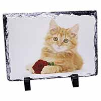 Ginger Kitten with Red Rose, Stunning Photo Slate