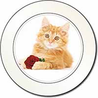 Ginger Kitten with Red Rose Car or Van Permit Holder/Tax Disc Holder