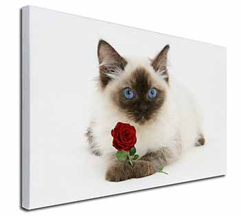 Ragdoll Kitten Cat with Red Rose Canvas X-Large 30"x20" Wall Art Print