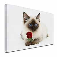 Ragdoll Kitten Cat with Red Rose Canvas X-Large 30"x20" Wall Art Print