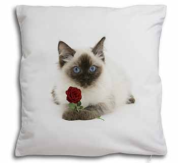 Ragdoll Kitten Cat with Red Rose Soft White Velvet Feel Scatter Cushion