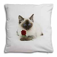 Ragdoll Kitten Cat with Red Rose Soft White Velvet Feel Scatter Cushion