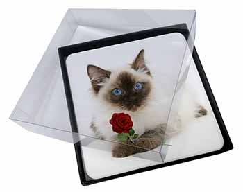 4x Ragdoll Kitten Cat with Red Rose Picture Table Coasters Set in Gift Box