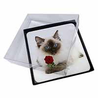 4x Ragdoll Kitten Cat with Red Rose Picture Table Coasters Set in Gift Box