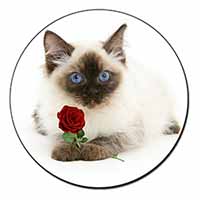 Ragdoll Kitten Cat with Red Rose Fridge Magnet Printed Full Colour