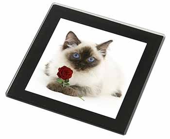 Ragdoll Kitten Cat with Red Rose Black Rim High Quality Glass Coaster