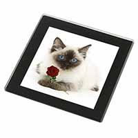 Ragdoll Kitten Cat with Red Rose Black Rim High Quality Glass Coaster