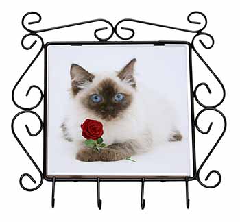 Ragdoll Kitten Cat with Red Rose Wrought Iron Key Holder Hooks