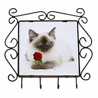 Ragdoll Kitten Cat with Red Rose Wrought Iron Key Holder Hooks