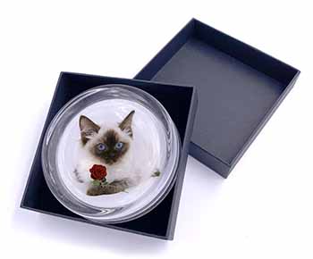 Ragdoll Kitten Cat with Red Rose Glass Paperweight in Gift Box