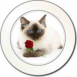 Ragdoll Kitten Cat with Red Rose Car or Van Permit Holder/Tax Disc Holder