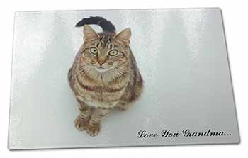 Large Glass Cutting Chopping Board Brown Tabby Cat 