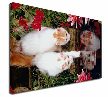 Turkish Van Cats by Fish Pond Canvas X-Large 30"x20" Wall Art Print