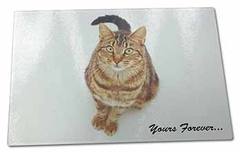 Large Glass Cutting Chopping Board Tabby Cat 