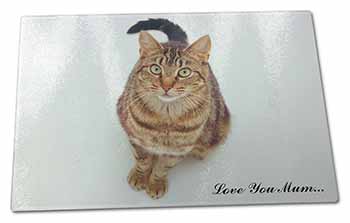 Large Glass Cutting Chopping Board Brown Tabby Cat 