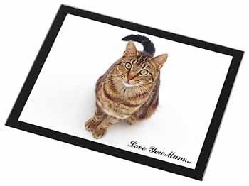 Brown Tabby Cat 