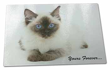 Large Glass Cutting Chopping Board Ragdoll Cat 