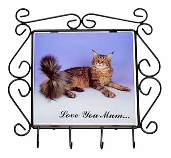 Maine Coon Cat 