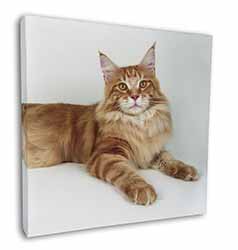 Red Maine Coon Cat Square Canvas 12"x12" Wall Art Picture Print