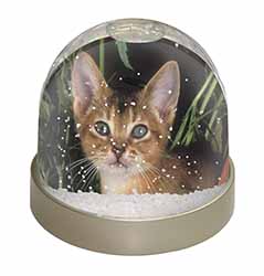 Face of an Abyssynian Cat Snow Globe Photo Waterball