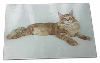 Large Glass Cutting Chopping Board Red Maine Coon Cat