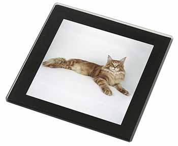 Red Maine Coon Cat Black Rim High Quality Glass Coaster