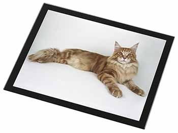 Red Maine Coon Cat Black Rim High Quality Glass Placemat