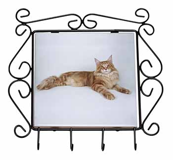 Red Maine Coon Cat Wrought Iron Key Holder Hooks