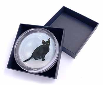 Pretty Black Bombay Cat Glass Paperweight in Gift Box