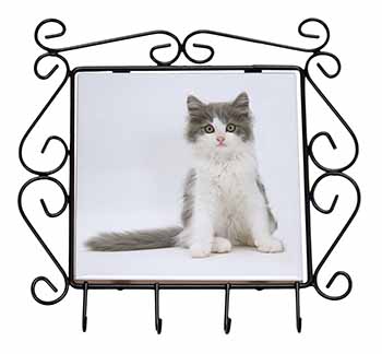 Cute Grey and White Kitten Wrought Iron Key Holder Hooks